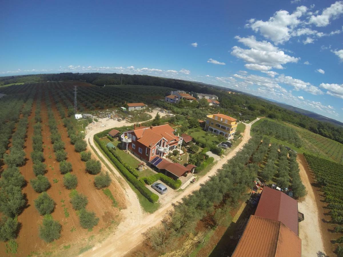 Apartma Jelka Novigrad  Ngoại thất bức ảnh